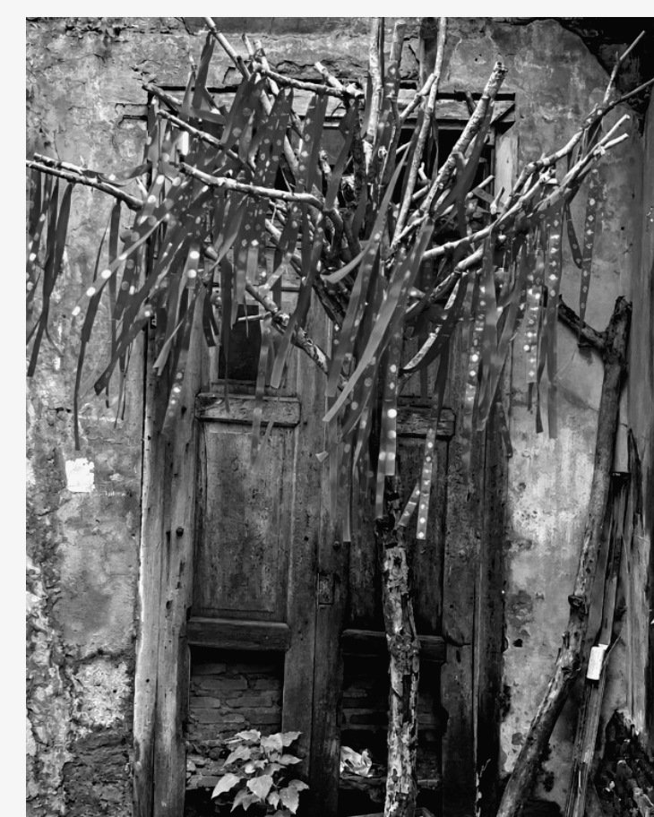 Bare tree hung with prayer ribbons in front of a weathered wooden door and peeling plaster wall